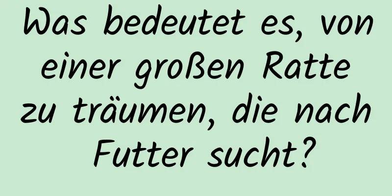 Was bedeutet es, von einer großen Ratte zu träumen, die nach Futter sucht?