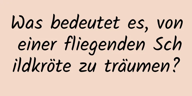 Was bedeutet es, von einer fliegenden Schildkröte zu träumen?