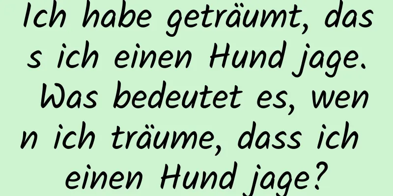 Ich habe geträumt, dass ich einen Hund jage. Was bedeutet es, wenn ich träume, dass ich einen Hund jage?