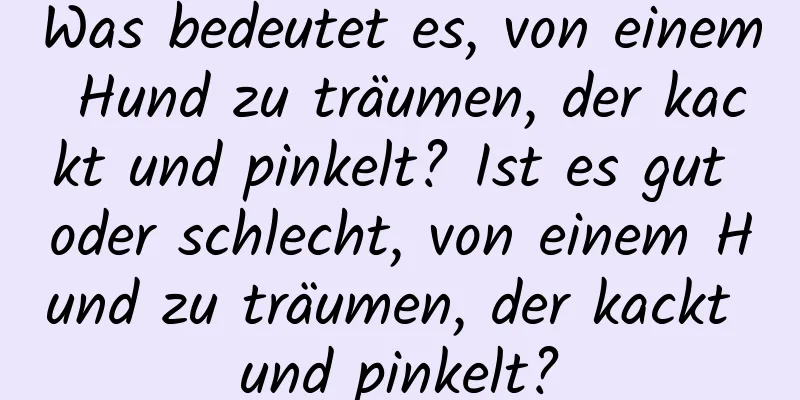 Was bedeutet es, von einem Hund zu träumen, der kackt und pinkelt? Ist es gut oder schlecht, von einem Hund zu träumen, der kackt und pinkelt?