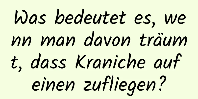 Was bedeutet es, wenn man davon träumt, dass Kraniche auf einen zufliegen?