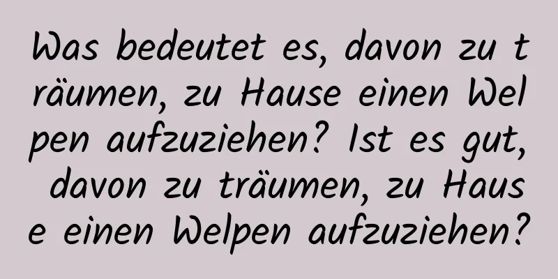 Was bedeutet es, davon zu träumen, zu Hause einen Welpen aufzuziehen? Ist es gut, davon zu träumen, zu Hause einen Welpen aufzuziehen?