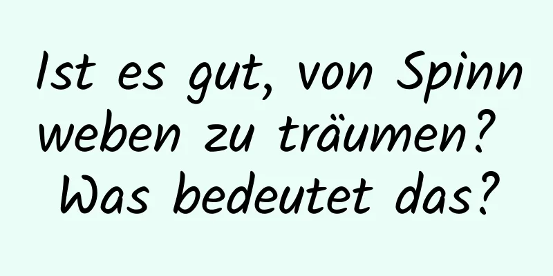 Ist es gut, von Spinnweben zu träumen? Was bedeutet das?