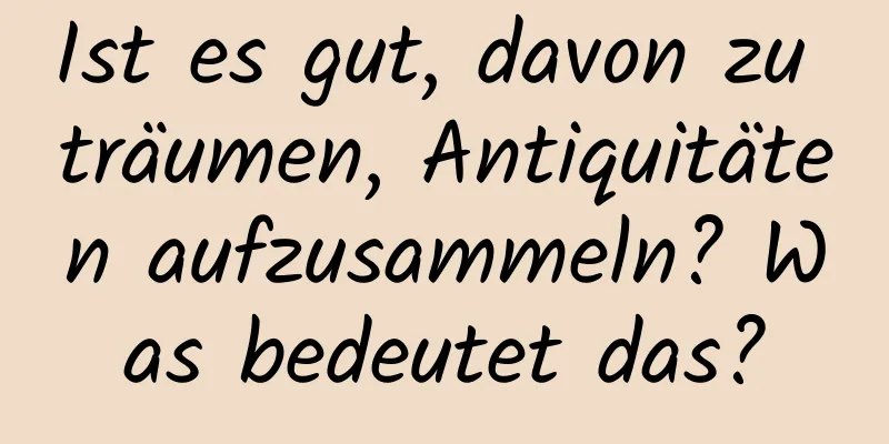 Ist es gut, davon zu träumen, Antiquitäten aufzusammeln? Was bedeutet das?