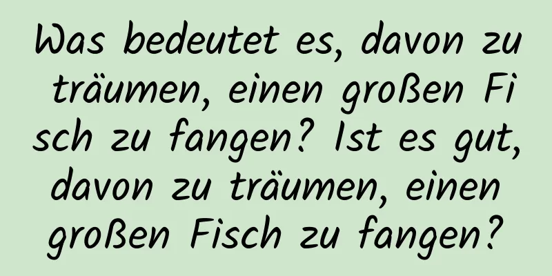 Was bedeutet es, davon zu träumen, einen großen Fisch zu fangen? Ist es gut, davon zu träumen, einen großen Fisch zu fangen?