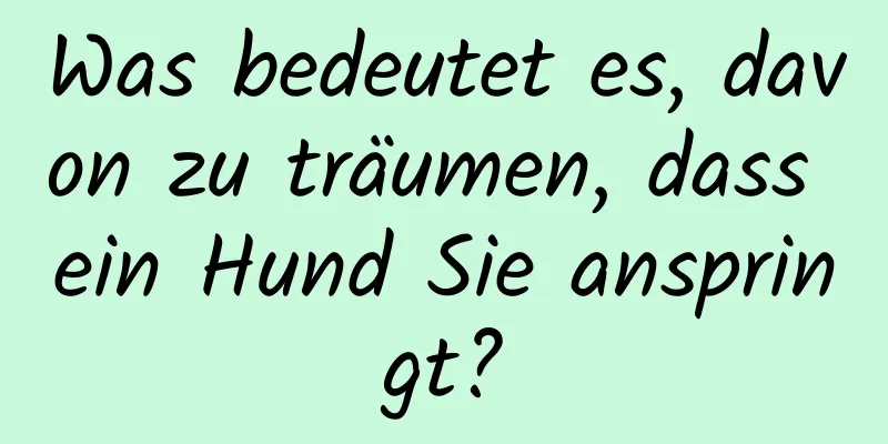 Was bedeutet es, davon zu träumen, dass ein Hund Sie anspringt?