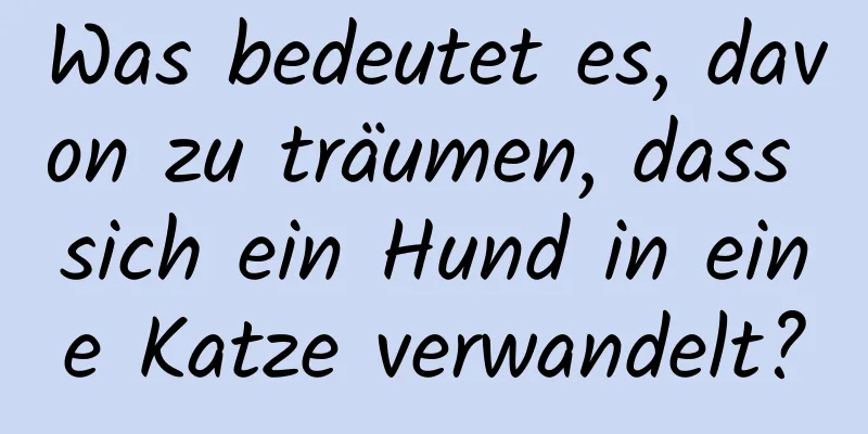 Was bedeutet es, davon zu träumen, dass sich ein Hund in eine Katze verwandelt?