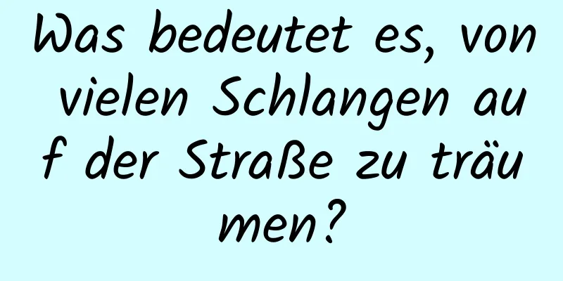 Was bedeutet es, von vielen Schlangen auf der Straße zu träumen?