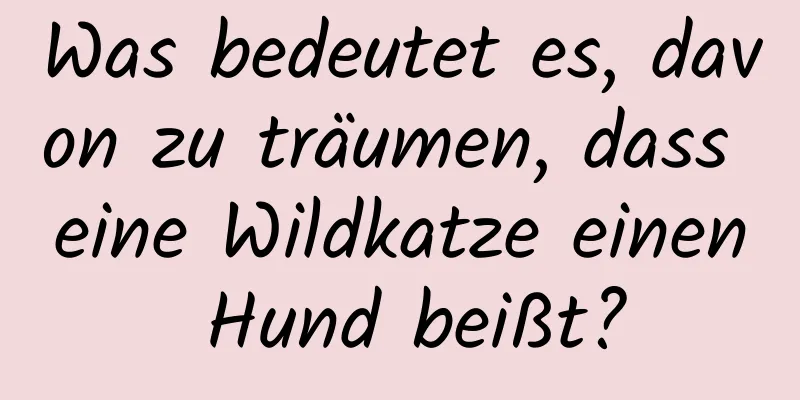 Was bedeutet es, davon zu träumen, dass eine Wildkatze einen Hund beißt?