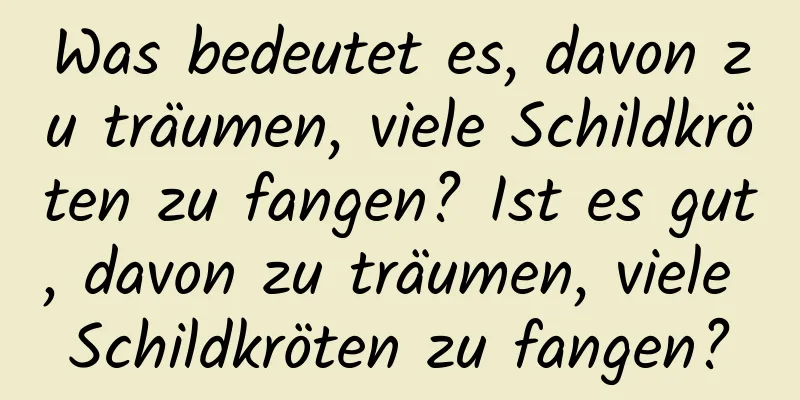 Was bedeutet es, davon zu träumen, viele Schildkröten zu fangen? Ist es gut, davon zu träumen, viele Schildkröten zu fangen?