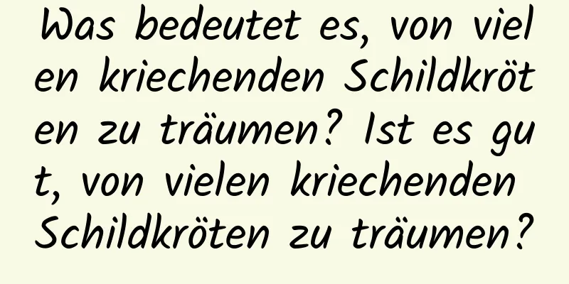 Was bedeutet es, von vielen kriechenden Schildkröten zu träumen? Ist es gut, von vielen kriechenden Schildkröten zu träumen?