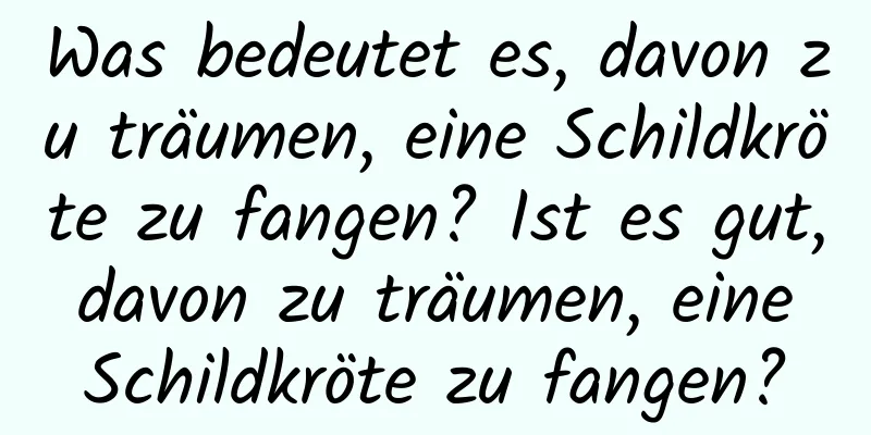 Was bedeutet es, davon zu träumen, eine Schildkröte zu fangen? Ist es gut, davon zu träumen, eine Schildkröte zu fangen?