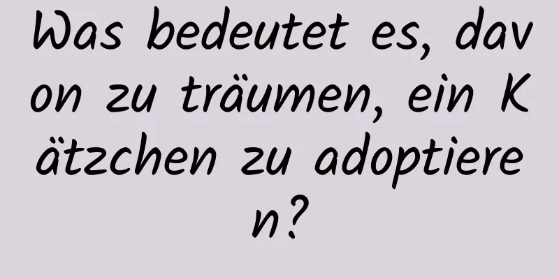 Was bedeutet es, davon zu träumen, ein Kätzchen zu adoptieren?