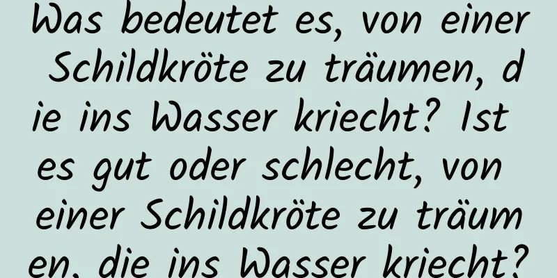 Was bedeutet es, von einer Schildkröte zu träumen, die ins Wasser kriecht? Ist es gut oder schlecht, von einer Schildkröte zu träumen, die ins Wasser kriecht?