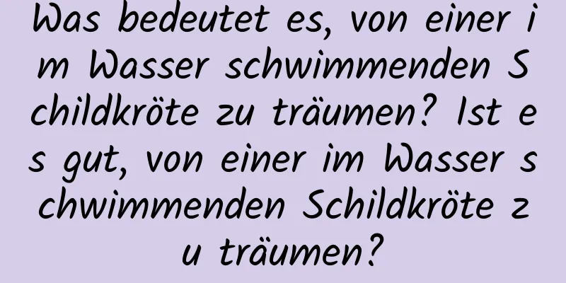 Was bedeutet es, von einer im Wasser schwimmenden Schildkröte zu träumen? Ist es gut, von einer im Wasser schwimmenden Schildkröte zu träumen?