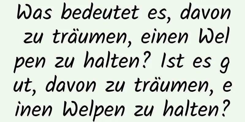 Was bedeutet es, davon zu träumen, einen Welpen zu halten? Ist es gut, davon zu träumen, einen Welpen zu halten?