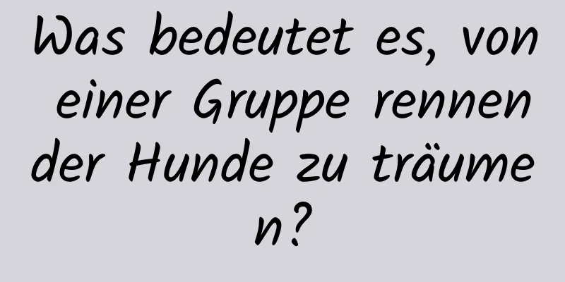 Was bedeutet es, von einer Gruppe rennender Hunde zu träumen?