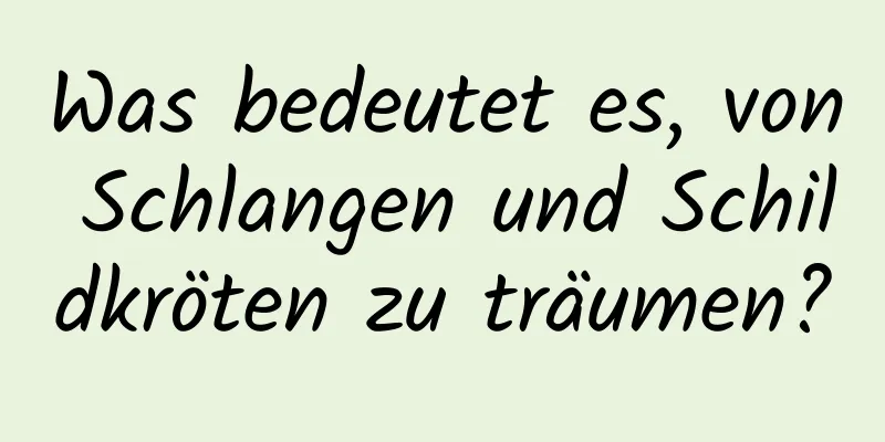 Was bedeutet es, von Schlangen und Schildkröten zu träumen?