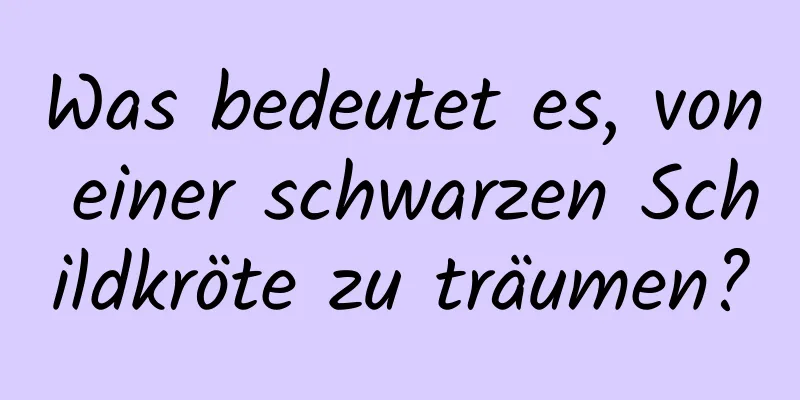 Was bedeutet es, von einer schwarzen Schildkröte zu träumen?