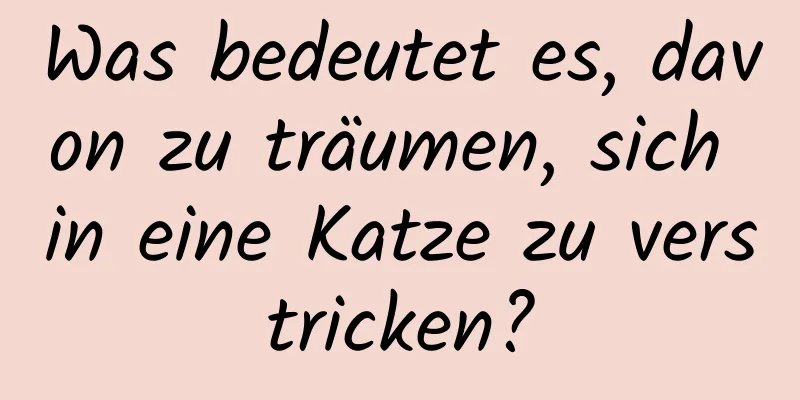 Was bedeutet es, davon zu träumen, sich in eine Katze zu verstricken?