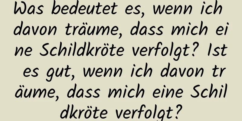 Was bedeutet es, wenn ich davon träume, dass mich eine Schildkröte verfolgt? Ist es gut, wenn ich davon träume, dass mich eine Schildkröte verfolgt?