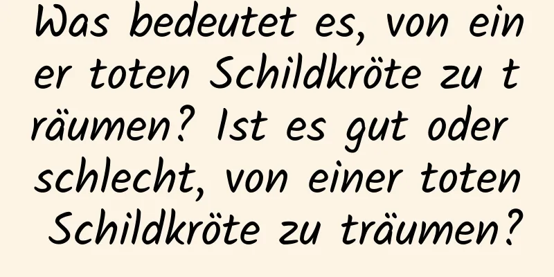 Was bedeutet es, von einer toten Schildkröte zu träumen? Ist es gut oder schlecht, von einer toten Schildkröte zu träumen?