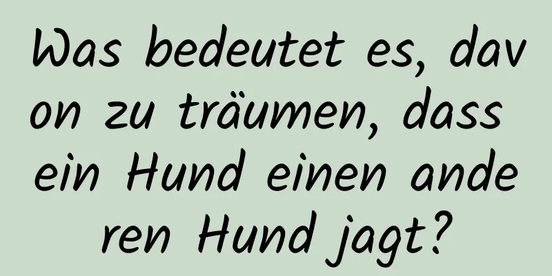 Was bedeutet es, davon zu träumen, dass ein Hund einen anderen Hund jagt?