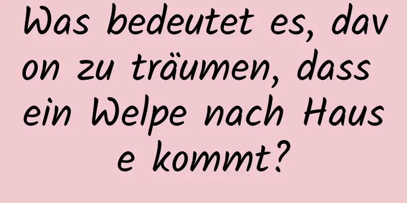 Was bedeutet es, davon zu träumen, dass ein Welpe nach Hause kommt?