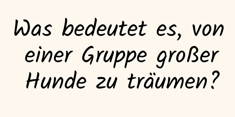 Was bedeutet es, von einer Gruppe großer Hunde zu träumen?