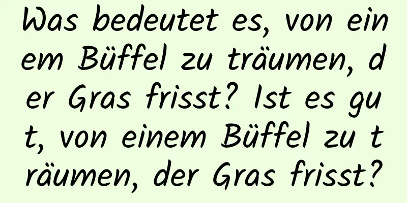 Was bedeutet es, von einem Büffel zu träumen, der Gras frisst? Ist es gut, von einem Büffel zu träumen, der Gras frisst?