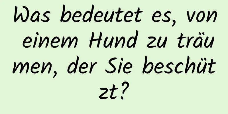 Was bedeutet es, von einem Hund zu träumen, der Sie beschützt?