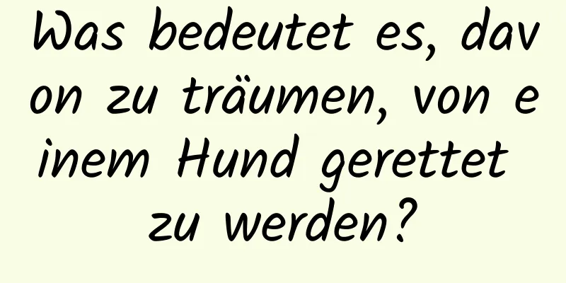 Was bedeutet es, davon zu träumen, von einem Hund gerettet zu werden?