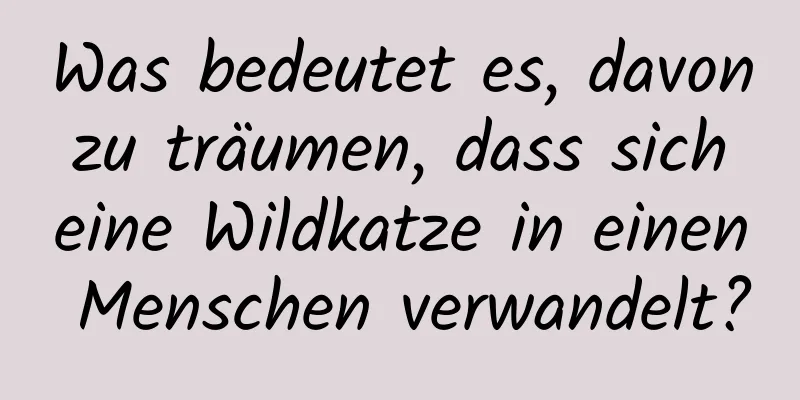 Was bedeutet es, davon zu träumen, dass sich eine Wildkatze in einen Menschen verwandelt?