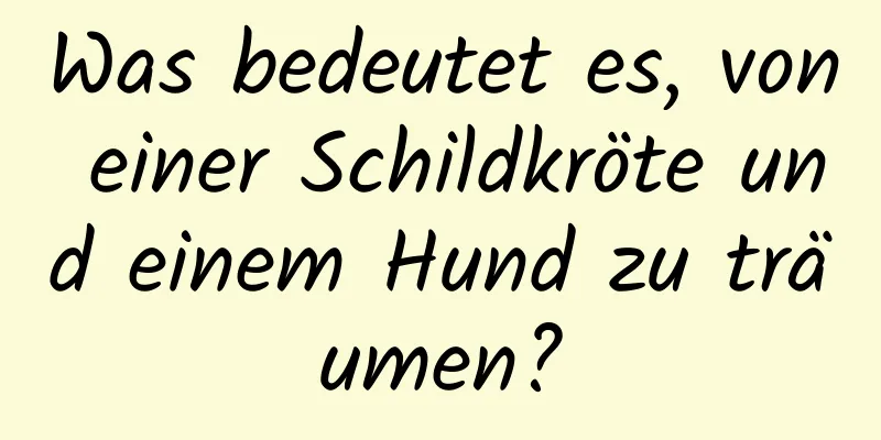 Was bedeutet es, von einer Schildkröte und einem Hund zu träumen?