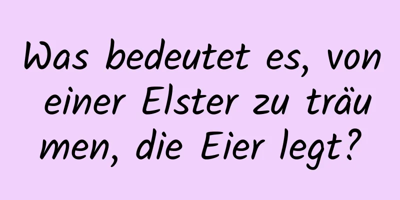 Was bedeutet es, von einer Elster zu träumen, die Eier legt?