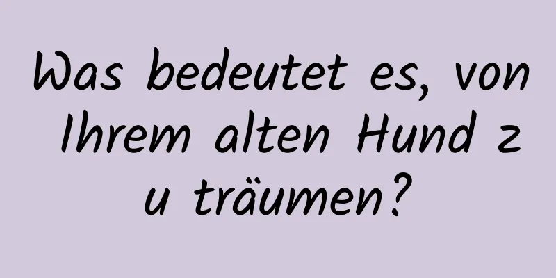 Was bedeutet es, von Ihrem alten Hund zu träumen?