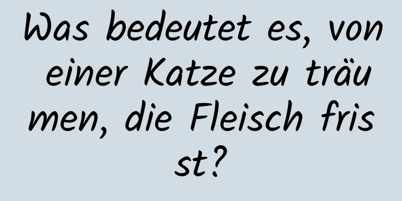 Was bedeutet es, von einer Katze zu träumen, die Fleisch frisst?