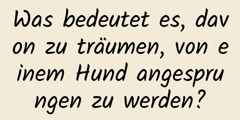 Was bedeutet es, davon zu träumen, von einem Hund angesprungen zu werden?