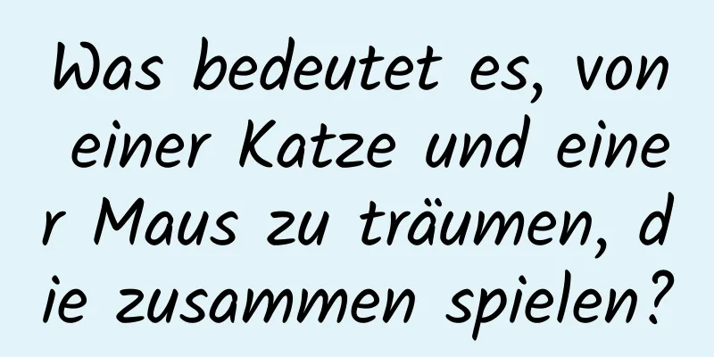 Was bedeutet es, von einer Katze und einer Maus zu träumen, die zusammen spielen?