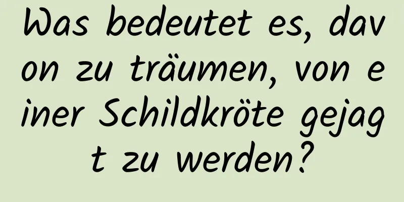 Was bedeutet es, davon zu träumen, von einer Schildkröte gejagt zu werden?