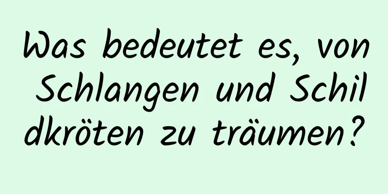 Was bedeutet es, von Schlangen und Schildkröten zu träumen?