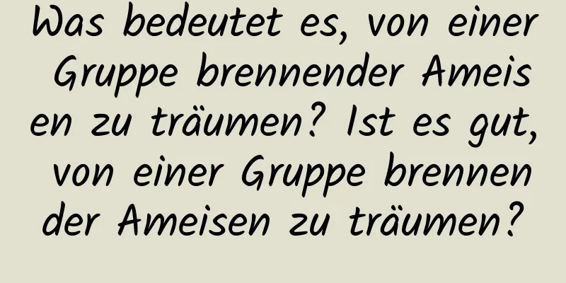 Was bedeutet es, von einer Gruppe brennender Ameisen zu träumen? Ist es gut, von einer Gruppe brennender Ameisen zu träumen?