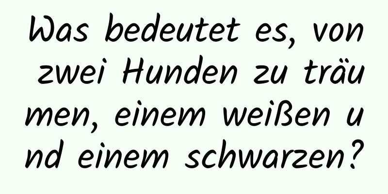 Was bedeutet es, von zwei Hunden zu träumen, einem weißen und einem schwarzen?