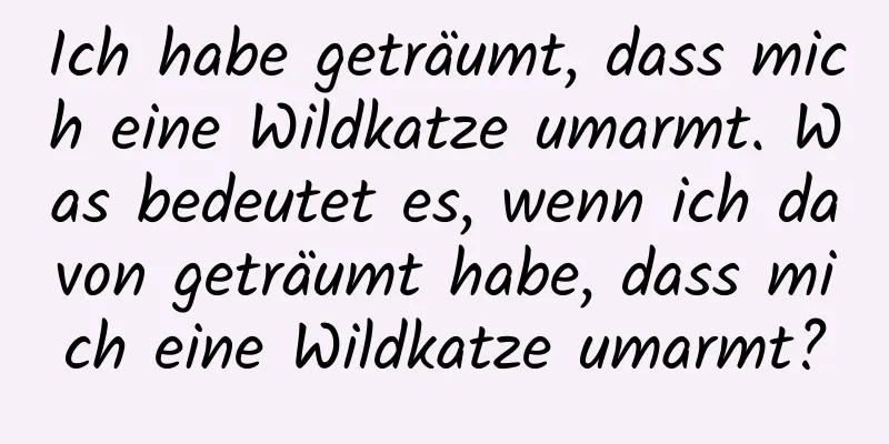 Ich habe geträumt, dass mich eine Wildkatze umarmt. Was bedeutet es, wenn ich davon geträumt habe, dass mich eine Wildkatze umarmt?