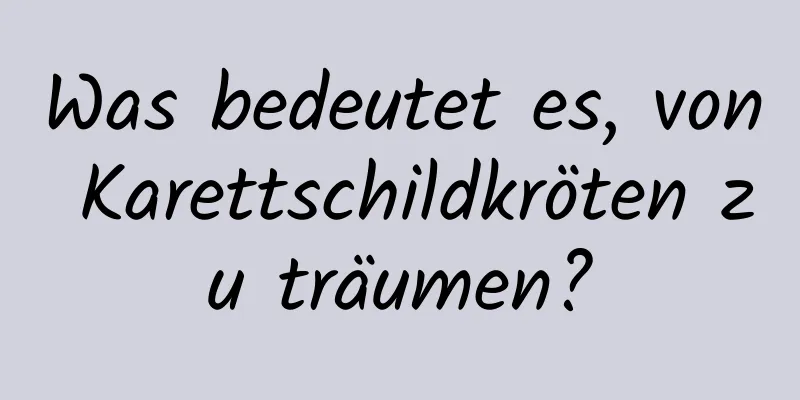 Was bedeutet es, von Karettschildkröten zu träumen?