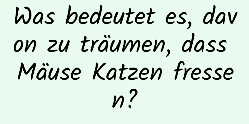 Was bedeutet es, davon zu träumen, dass Mäuse Katzen fressen?