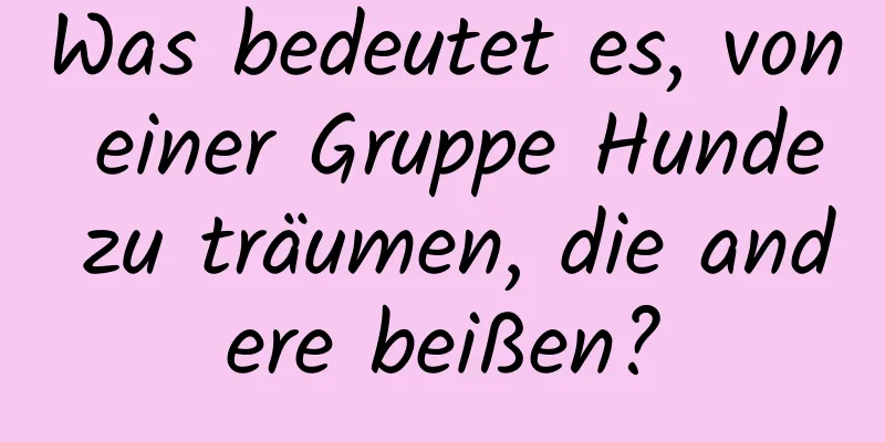 Was bedeutet es, von einer Gruppe Hunde zu träumen, die andere beißen?