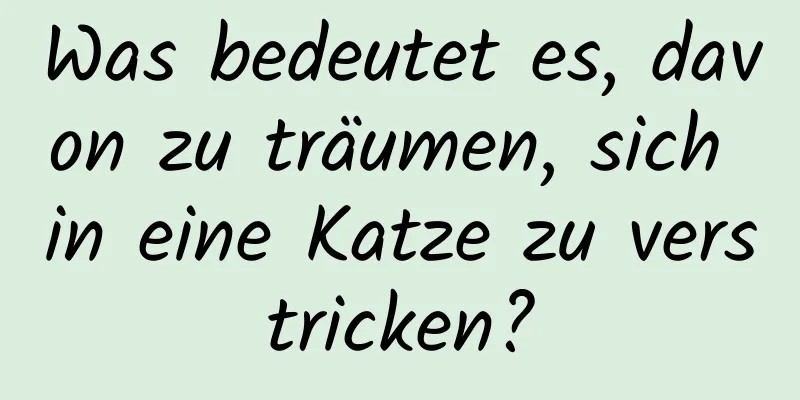 Was bedeutet es, davon zu träumen, sich in eine Katze zu verstricken?