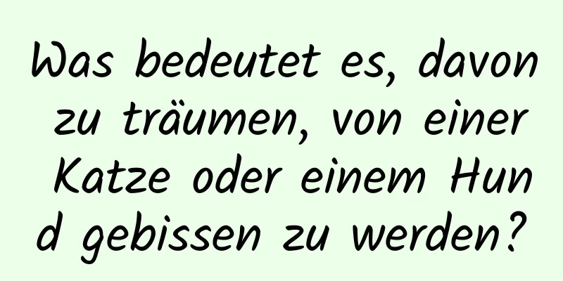 Was bedeutet es, davon zu träumen, von einer Katze oder einem Hund gebissen zu werden?