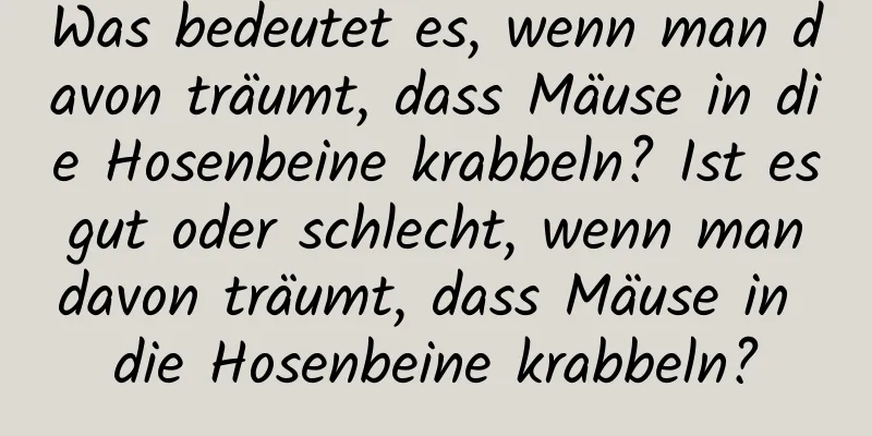 Was bedeutet es, wenn man davon träumt, dass Mäuse in die Hosenbeine krabbeln? Ist es gut oder schlecht, wenn man davon träumt, dass Mäuse in die Hosenbeine krabbeln?